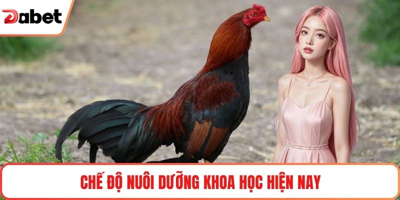 Chế độ nuôi dưỡng khoa học hiện nay